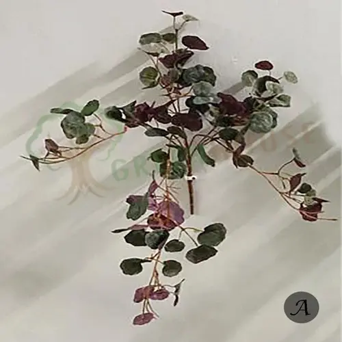 Plants Foliages & Flowers