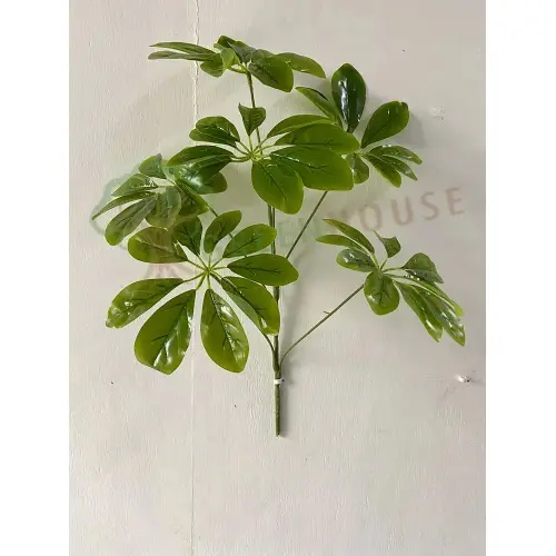 Plants Foliages & Flowers