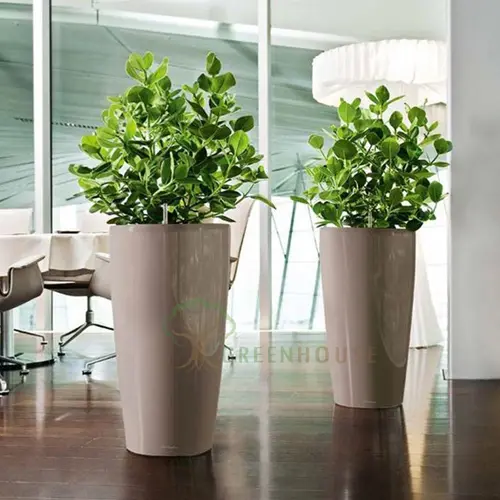 Oval Shape Planter