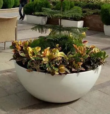 Oval Shape Planter