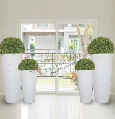 Oval Shape Planter