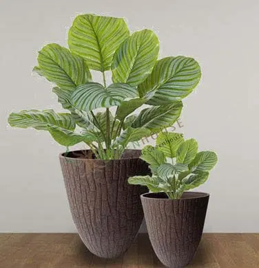 Oval Shape Planter