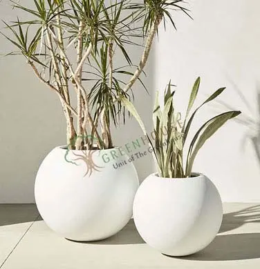 Oval Shape Planter
