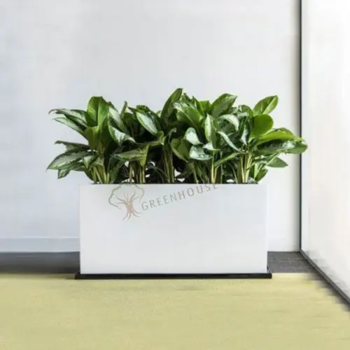 Rectangle Shape Planter