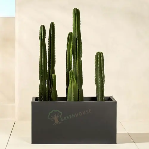 Rectangle Shape Planter