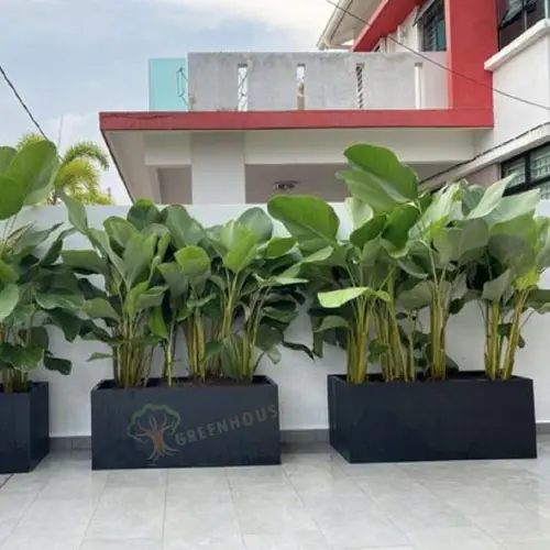 Rectangle Shape Planter