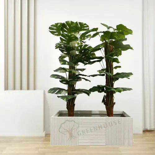 Rectangle Shape Planter