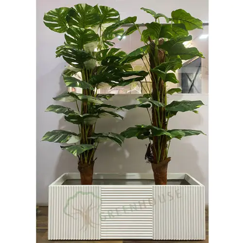 Rectangle Shape Planter