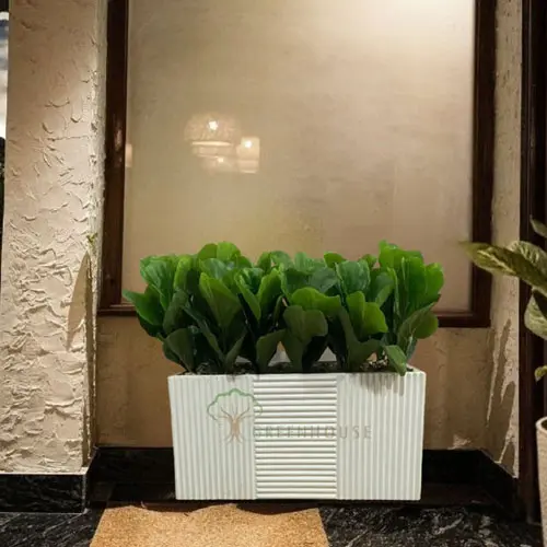 Rectangle Shape Planter