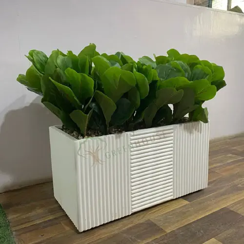 Rectangle Shape Planter