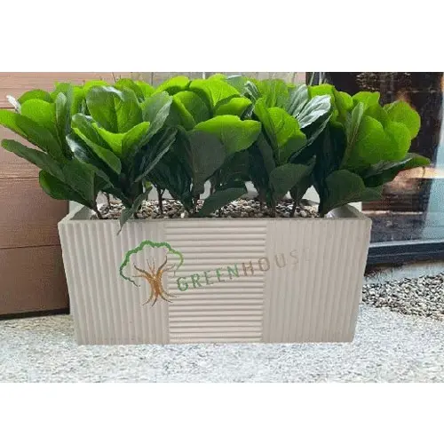 Rectangle Shape Planter