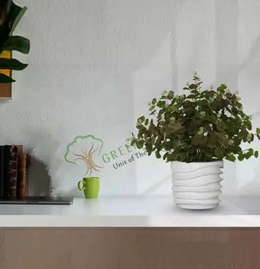 Small-Planter-1
