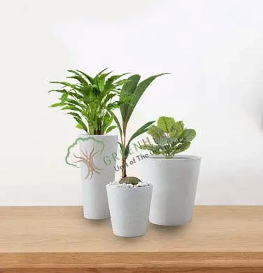 Small-Planter