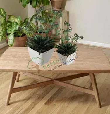 Small-Planter