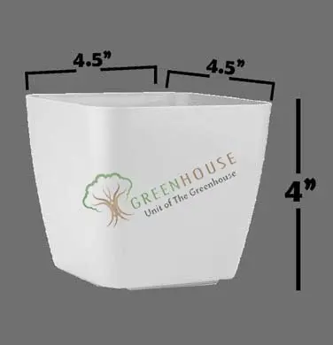 Small-Planter