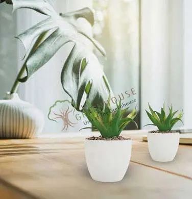Small-Planter
