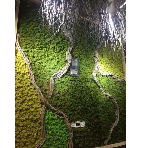 Greenwall-Artificial-1
