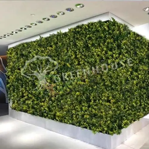 Greenwall-Artificial-1