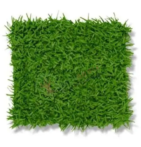 Greenwall-Artificial-1