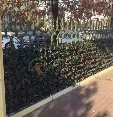 Greenwall-Artificial