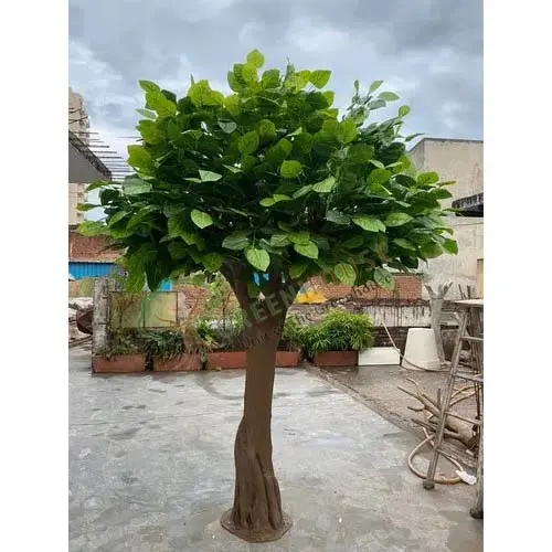 Banyan-Tree-10-Feet