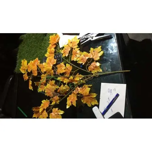 Golden-Maple-Tree