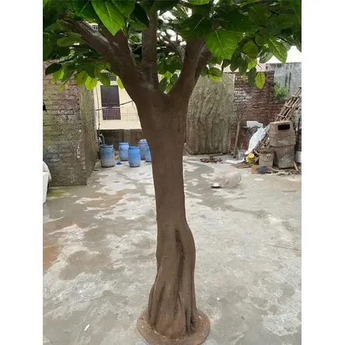 Banyan-Tree-10-Feet