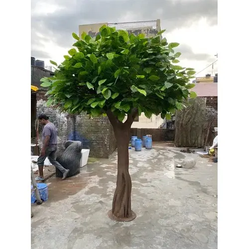Banyan-Tree-10-Feet