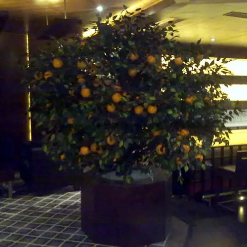 Medium Artificial Tree