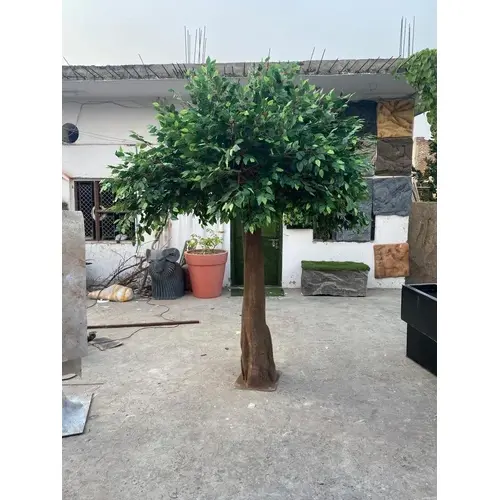Fake Ficus Tree
