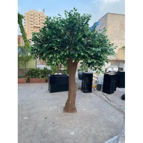 Fake Ficus Tree