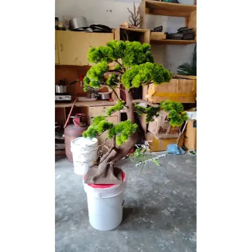 Pine Bonsai-Tree-Artificial