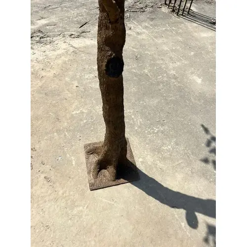 Artificial Coccoloba Tree