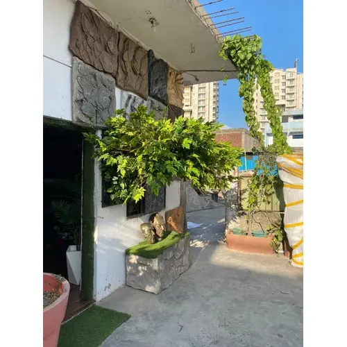 Artificial Wall Mounted Maple Tree