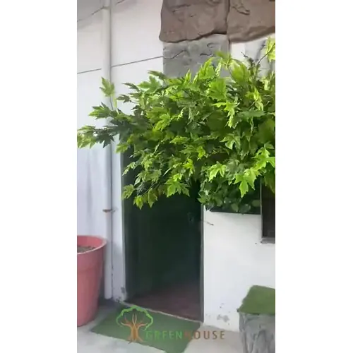 Artificial Wall Mounted Maple Tree