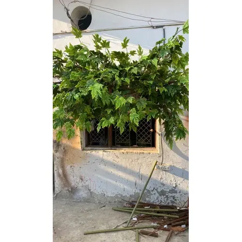 Artificial Wall Mounted Maple Tree
