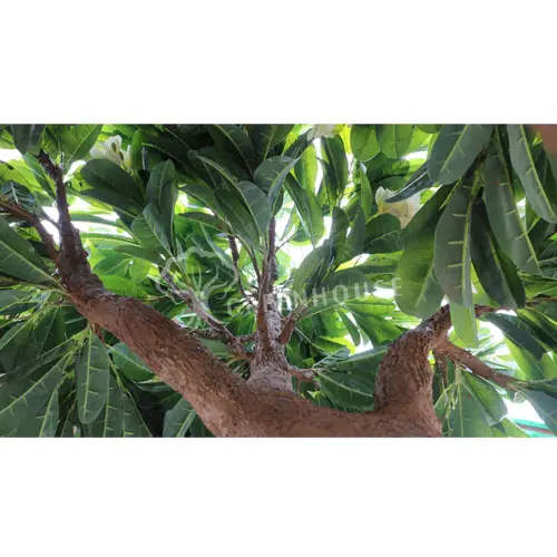 Medium Artificial Tree