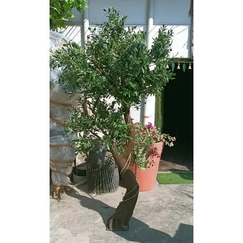 Olive spray tree artificial