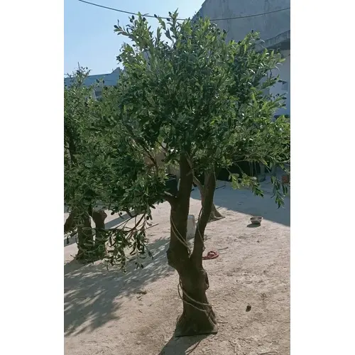Olive spray tree artificial