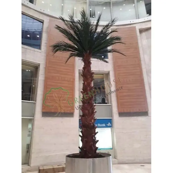 ArtificialDate-Palm-Tree