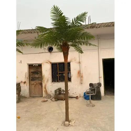 Coconut-Tree10Feet