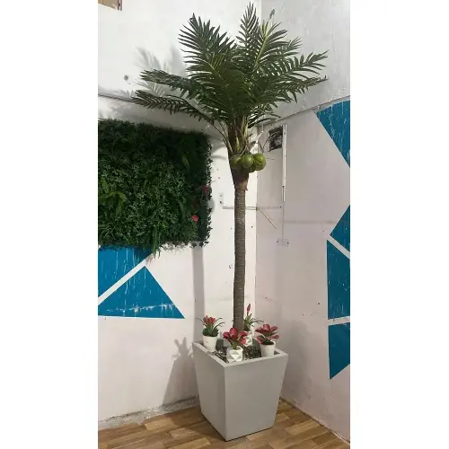 Coconut-Tree10Feet