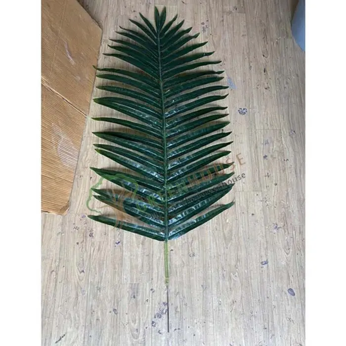 Date-Palm-Tree