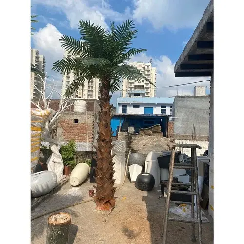 Date-Palm-Tree