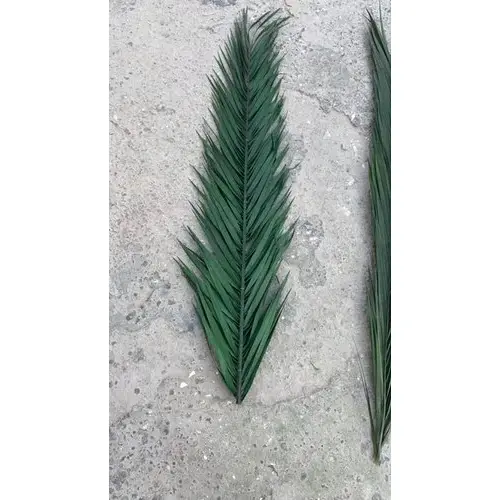 ArtificialDate-Palm-Tree