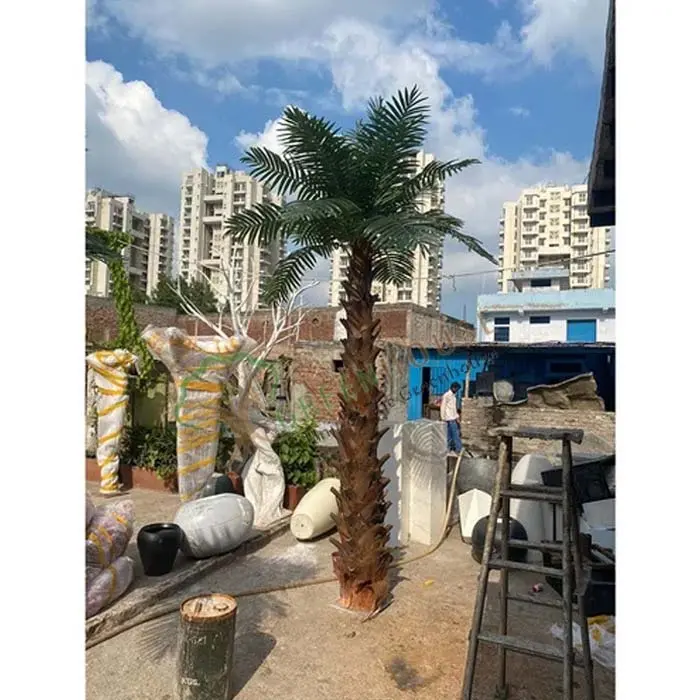 Date-Palm-Tree
