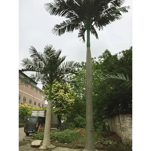 Outdoor-Date-Palm-Leaf