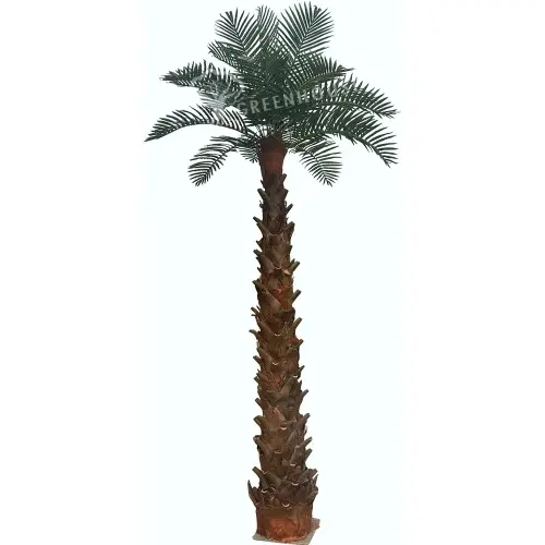 Date-Palm-Tree