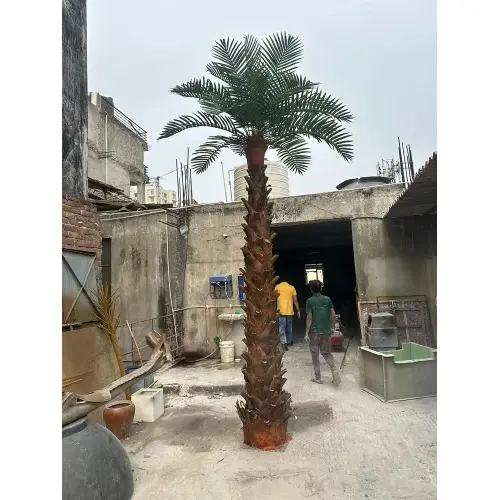 Date-Palm-Tree