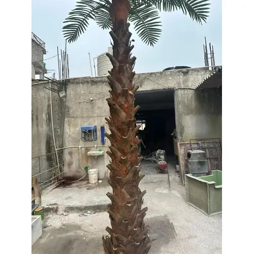 Date-Palm-Tree